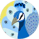 Havva Tapan profil fotoğrafı