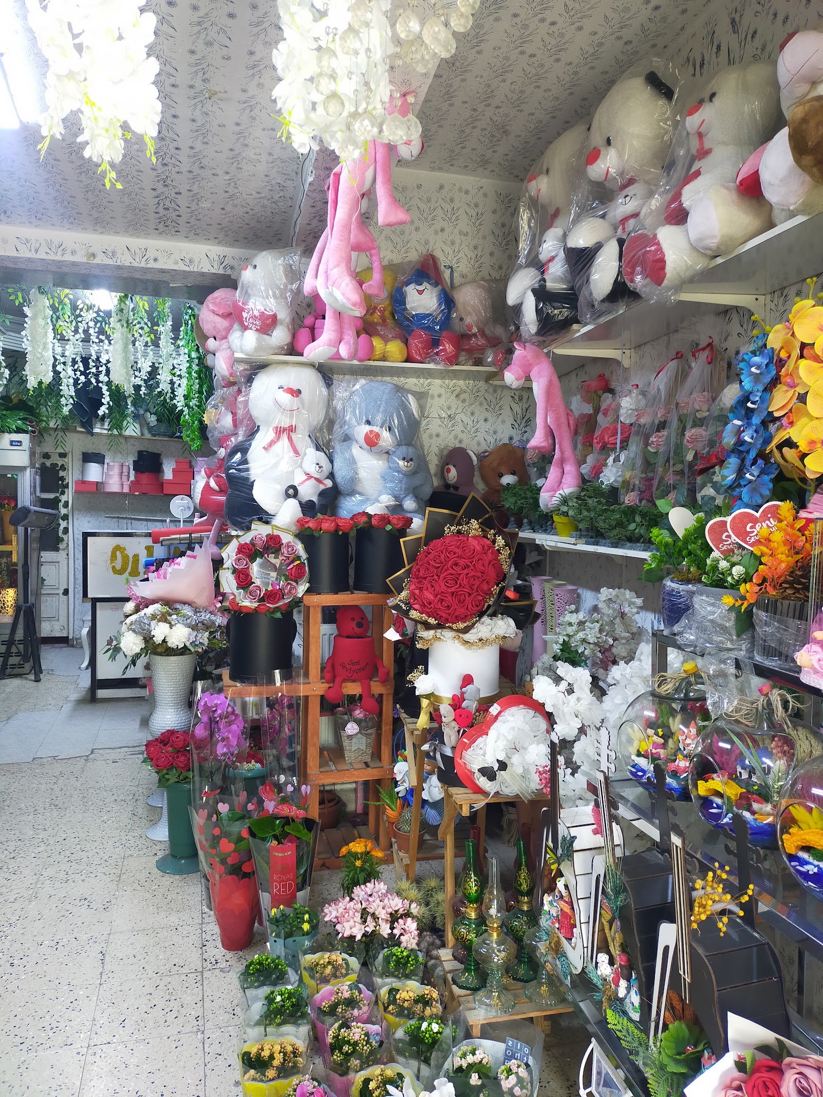 Dİlan Çiçek Evi Organizasyon