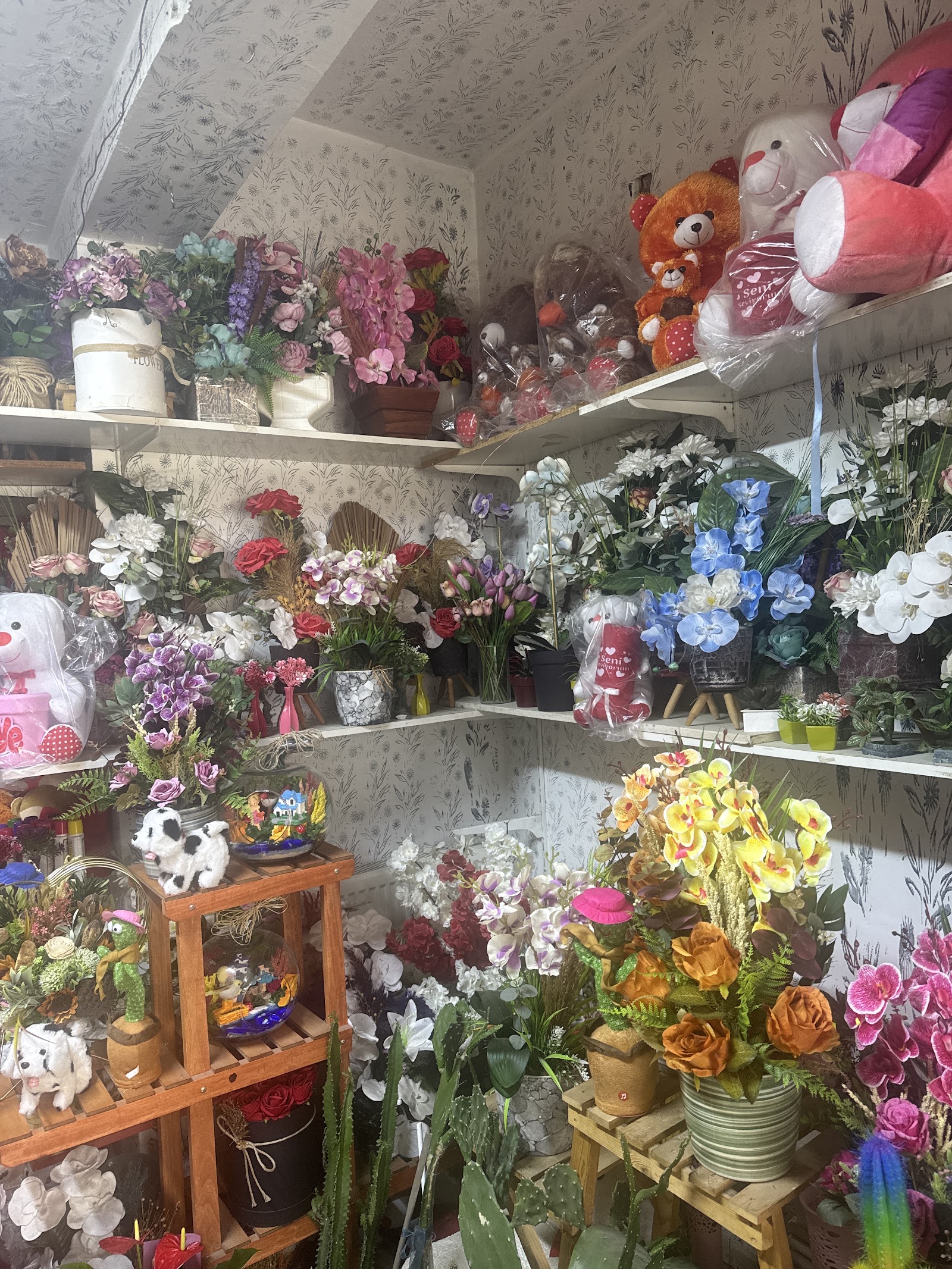 Dİlan Çiçek Evi Organizasyon