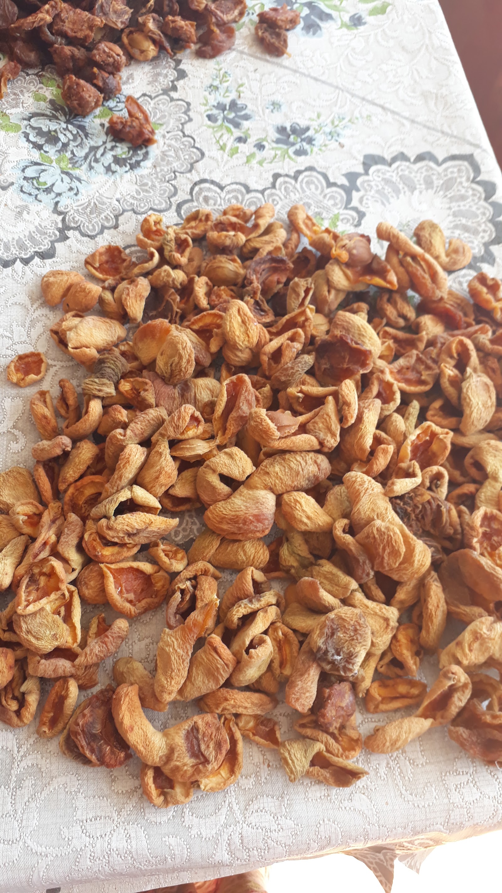 Yıldızı Altuntaş güneş doğudan doğar üretim ve pazarlama kooparatif ığdırdan