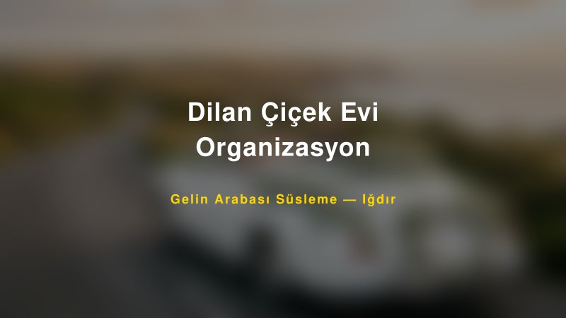 Dilan Çiçek Evi Organizasyon — Iğdır Kır Düğünü Mekanı Rehberi