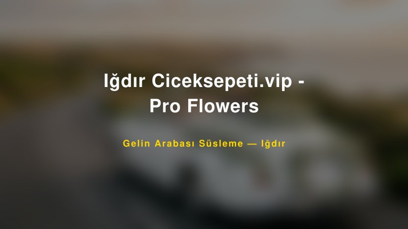 Iğdır Ciceksepeti.vip - Pro Flowers Gelin Arabası Süsleme Fiyatları — 1