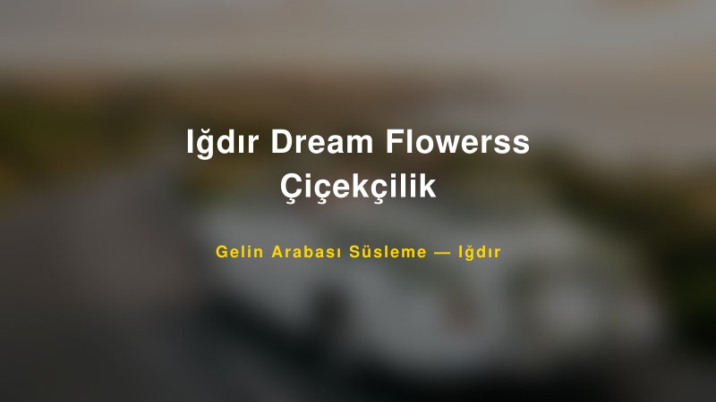Iğdır Dream Flowerss Çiçekçilik Gelin Arabası Süsleme Fiyatları — 1