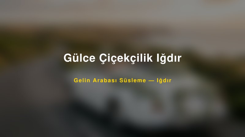 Gülce Çiçekçilik Iğdır ile Trend Gelin Arabası Yazıları ve Konseptleri