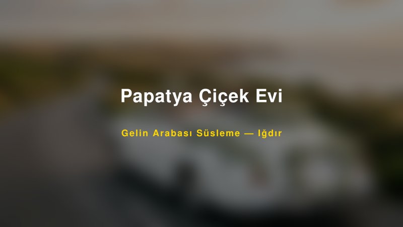 Papatya Çiçek Evi Gelin Arabası Süsleme Fiyatları
